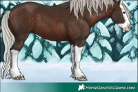 Horse Color:Silver Brown Splash 