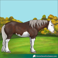 Horse Color:Silver Brown Splash 