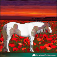 Horse Color:Nacre Chestnut Tobiano 