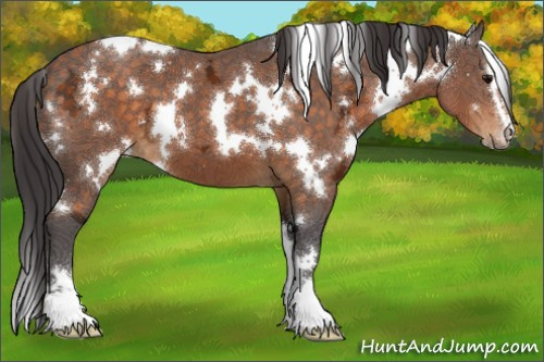 Horse Color:White Spotted Buckskin Ice Sabino