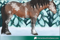 Horse Color:Brown Ice Sabino