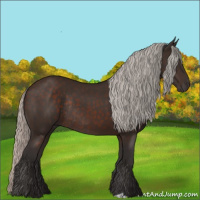 Horse Color:Silver Brown Rabicano 