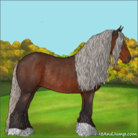 Horse Color:Silver Brown Rabicano 
