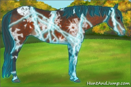 Horse Color:Thunderstruck Brown Ice Varnish 