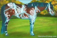 Horse Color:Thunderstruck Brown Ice Appaloosa 