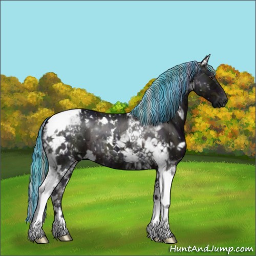 Horse Color:ERROR: UNKNOWN ANOMALY