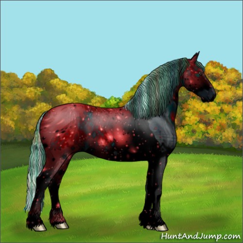 Horse Color:ERROR: UNKNOWN ANOMALY