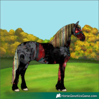 Horse Color:ERROR: UNKNOWN ANOMALY