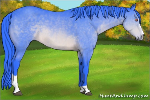 Horse Color:Watercolor Brown Chinchilla Sabino 