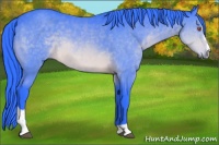 Horse Color:Watercolor Brown Chinchilla Sabino 