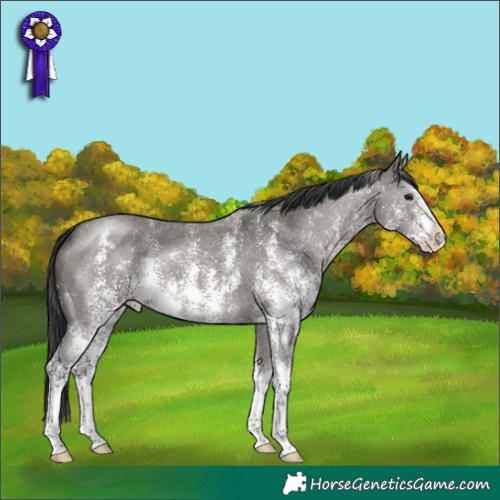 Horse Color:Grullo Sabino 