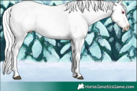 Horse Color:Liver Chestnut Chinchilla Ice Sabino Splash Leopard 