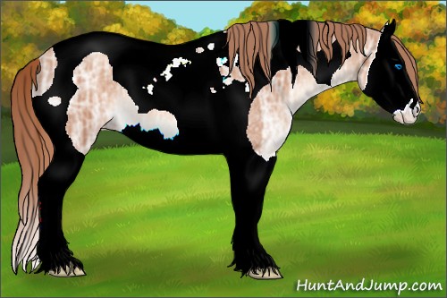 Horse Color:Gold Champagne Ice Splash Tobiano 