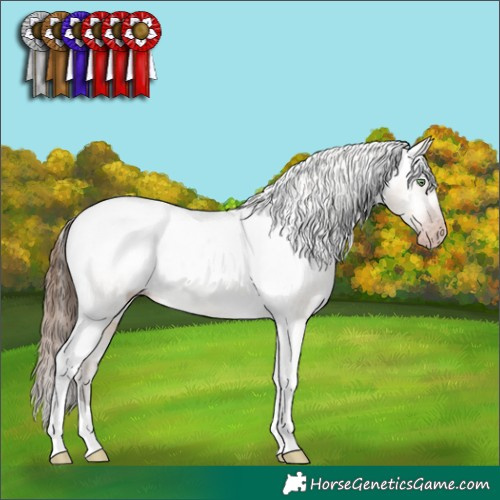 Horse Color:Gray Amber Champagne Dun Tobiano Varnish Brindle 