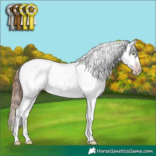 Horse Color:Gray Amber Champagne Dun Tobiano Appaloosa Brindle 