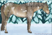 Horse Color:White Spotted Chocolate Palomino Ice 