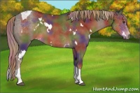 Horse Color:Nacre White Spotted Liver Chestnut Tobiano 