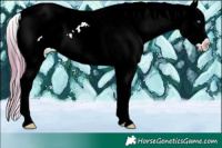 Horse Color:Watercolor White Spotted Smoky Grullo Ice Pearl Blanket 