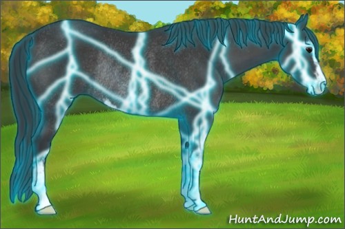 Horse Color:Thunderstruck Black Sabino Rabicano 