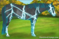 Horse Color:Thunderstruck Black Sabino Rabicano 