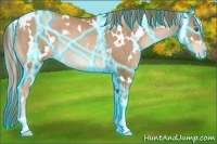 Horse Color:Thunderstruck White Spotted Liver Chestnut Pearl Rabicano 
