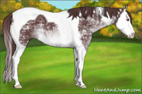 Horse Color:Chocolate Black Chinchilla Ice Mushroom Sabino Splash Tobiano