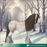 Horse Color:Classic Cream Champagne Ice 