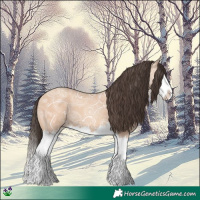 Horse Color:Amber Champagne Ice Splash 