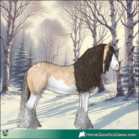Horse Color:Buckskin Ice Splash 