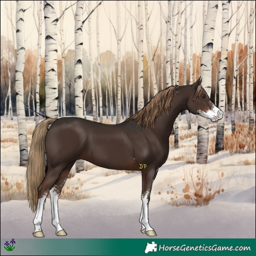 Horse Color:Liver Chestnut Sabino 