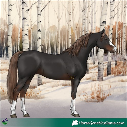 Horse Color:Liver Chestnut 