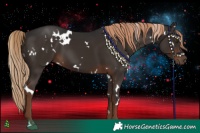 Horse Color:White Spotted Liver Chestnut 