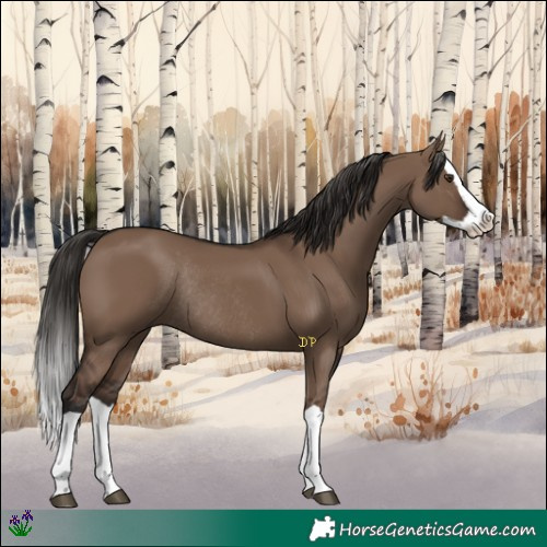 Horse Color:Liver Red Dun Splash Rabicano 