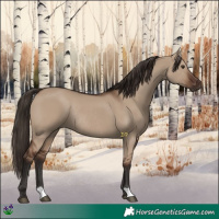 Horse Color:Liver Red Dun Rabicano 