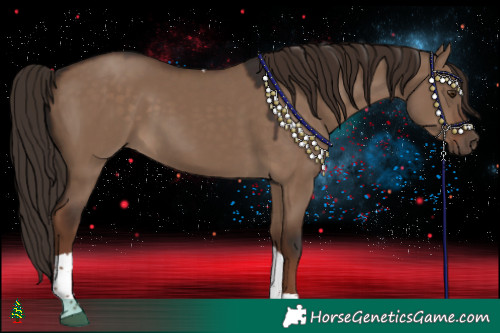 Horse Color:Liver Red Dun Tobiano 