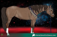 Horse Color:Liver Red Dun Tobiano