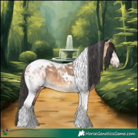 Horse Color:Bay Dun Tobiano 