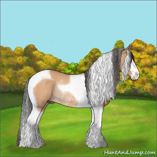 Horse Color:Bay Dun Sabino Tobiano Rabicano 