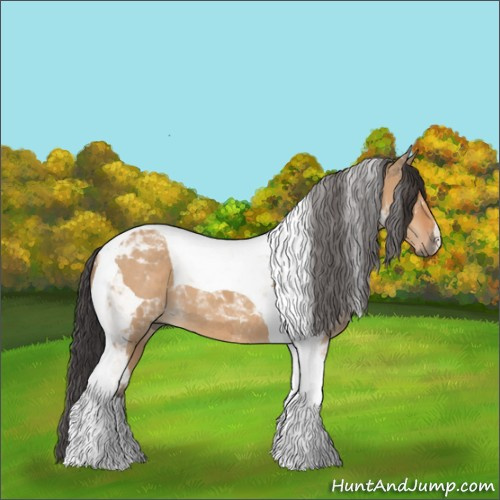 Horse Color:Bay Dun Tobiano 