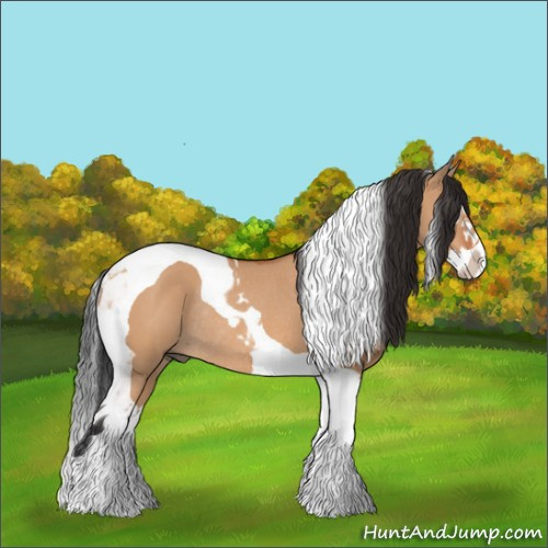 Horse Color:Bay Dun Splash Tobiano Rabicano 