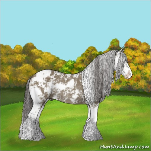 Horse Color:Smoky Grullo Sabino Rabicano 