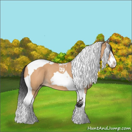 Horse Color:Bay Dun Splash Tobiano Rabicano 
