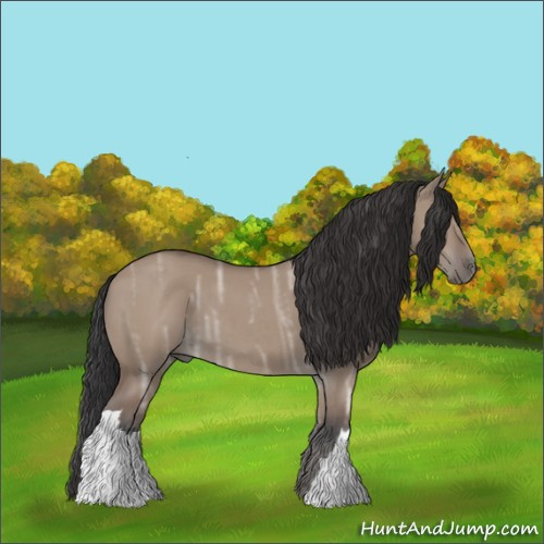 Horse Color:Bay Ice Dun 