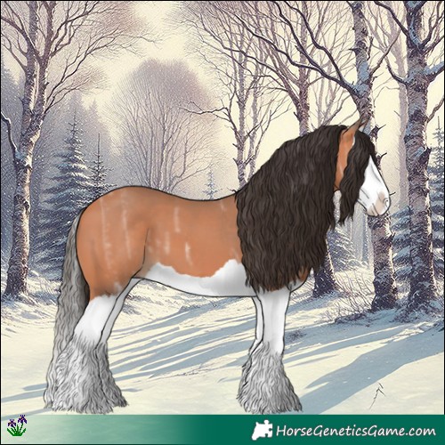 Horse Color:Bay Ice Splash 