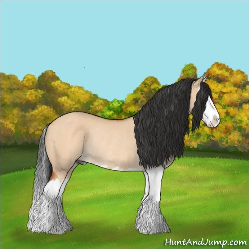 Horse Color:Bay Dun Sabino Splash Rabicano 