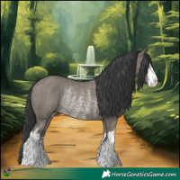 Horse Color:White Spotted Grullo Rabicano