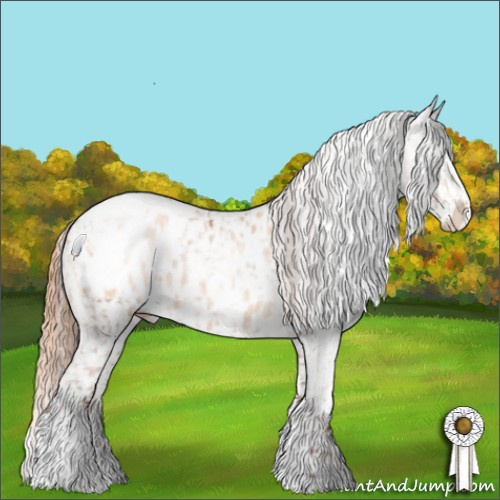 Horse Color:Brown Pearl Appaloosa  and Sable Champagne Pearl Appaloosa 