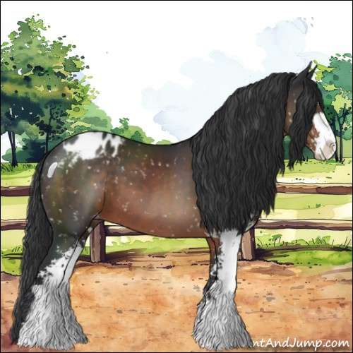 Horse Color:Brown Sabino Snowflake Varnish 