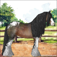 Horse Color:Brown Sabino Snowflake Varnish 