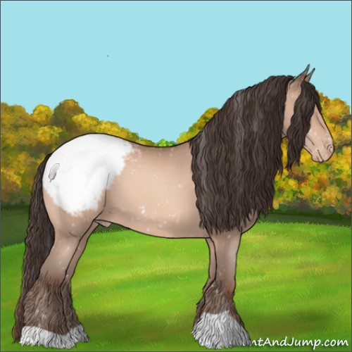 Horse Color:Sable Champagne Snowcap 